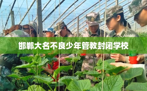 邯郸大名不良少年管教封闭学校
