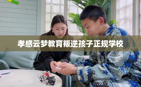 孝感云梦教育叛逆孩子正规学校