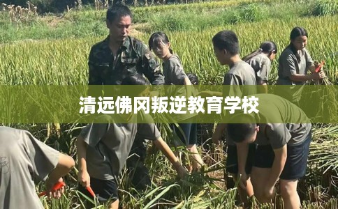 清远佛冈叛逆教育学校