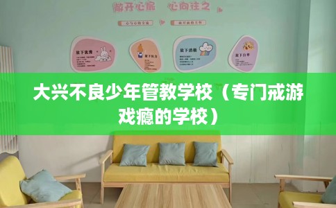 大兴不良少年管教学校（专门戒游戏瘾的学校）
