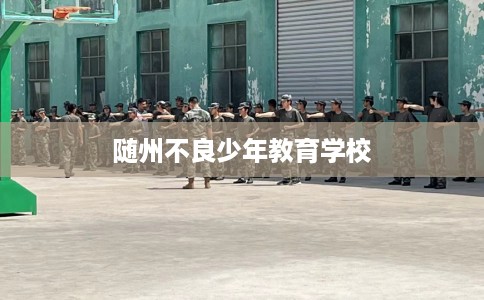 随州不良少年教育学校