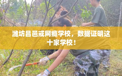 潍坊昌邑戒网瘾学校，数据证明这十家学校！