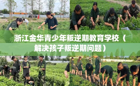 浙江金华青少年叛逆期教育学校（解决孩子叛逆期问题）