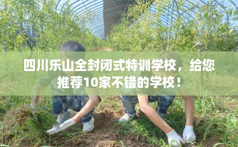 四川乐山全封闭式特训学校，给您推荐10家不错的学校！