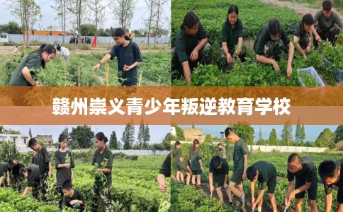 赣州崇义青少年叛逆教育学校