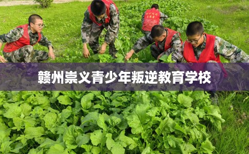 赣州崇义青少年叛逆教育学校