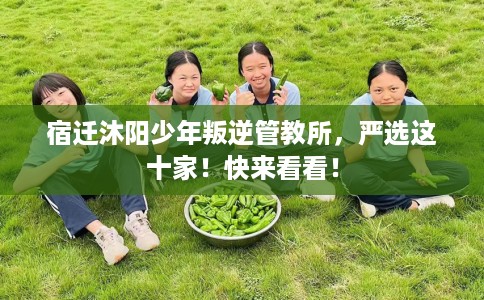 宿迁沐阳少年叛逆管教所，严选这十家！快来看看！