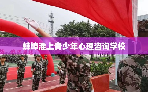 蚌埠淮上青少年心理咨询学校