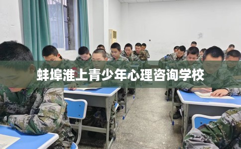 蚌埠淮上青少年心理咨询学校