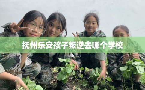 抚州乐安孩子叛逆去哪个学校