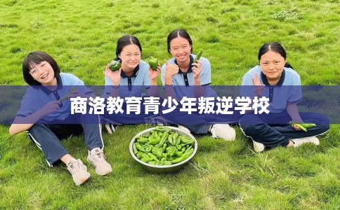 商洛教育青少年叛逆学校