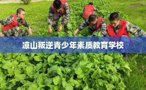 凉山叛逆青少年素质教育学校