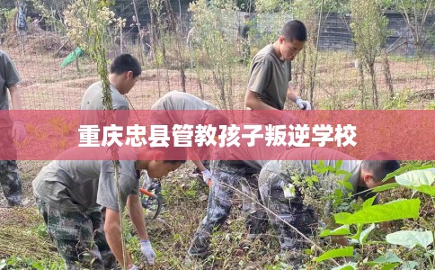 重庆忠县管教孩子叛逆学校