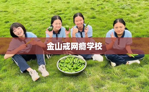 金山戒网瘾学校