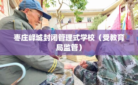 枣庄峄城封闭管理式学校（受教育局监管）