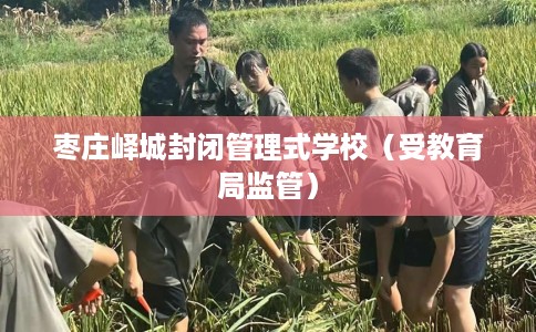 枣庄峄城封闭管理式学校（受教育局监管）