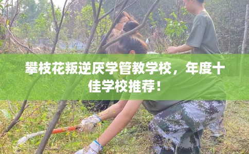 攀枝花叛逆厌学管教学校，年度十佳学校推荐！