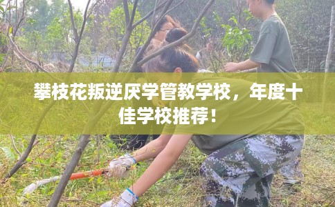 攀枝花叛逆厌学管教学校，年度十佳学校推荐！