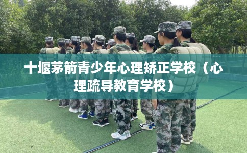 十堰茅箭青少年心理矫正学校（心理疏导教育学校）