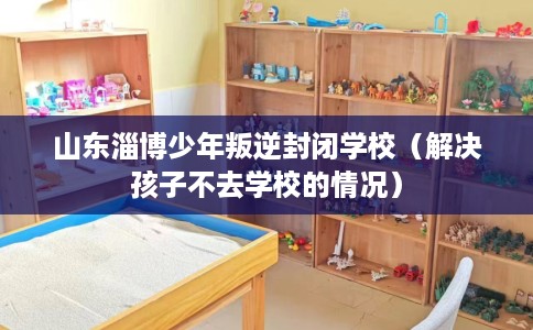 山东淄博少年叛逆封闭学校（解决孩子不去学校的情况）