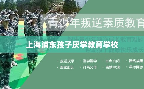 上海浦东孩子厌学教育学校