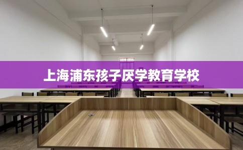 上海浦东孩子厌学教育学校