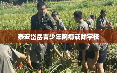 泰安岱岳青少年网瘾戒除学校