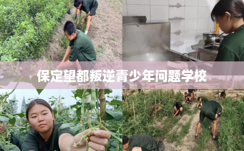 保定望都叛逆青少年问题学校
