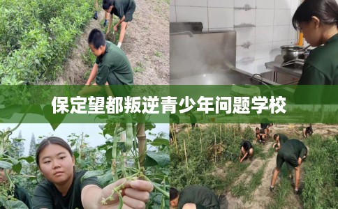 保定望都叛逆青少年问题学校