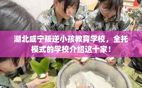 湖北咸宁叛逆小孩教育学校，全托模式的学校介绍这十家！