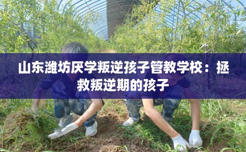 山东潍坊厌学叛逆孩子管教学校：拯救叛逆期的孩子