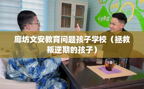 廊坊文安教育问题孩子学校（拯救叛逆期的孩子）