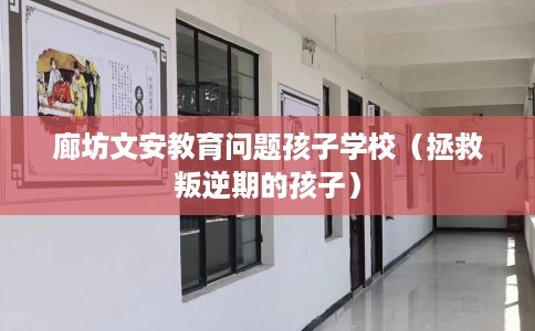 廊坊文安教育问题孩子学校（拯救叛逆期的孩子）