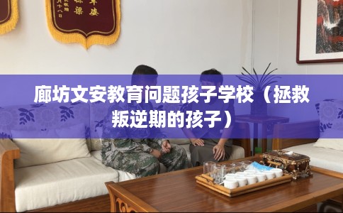 廊坊文安教育问题孩子学校（拯救叛逆期的孩子）