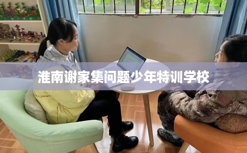 淮南谢家集问题少年特训学校