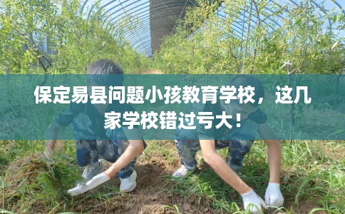 保定易县问题小孩教育学校，这几家学校错过亏大！