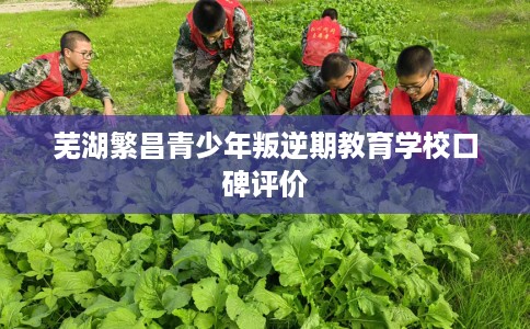 芜湖繁昌青少年叛逆期教育学校口碑评价