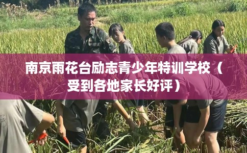 南京雨花台励志青少年特训学校（受到各地家长好评）