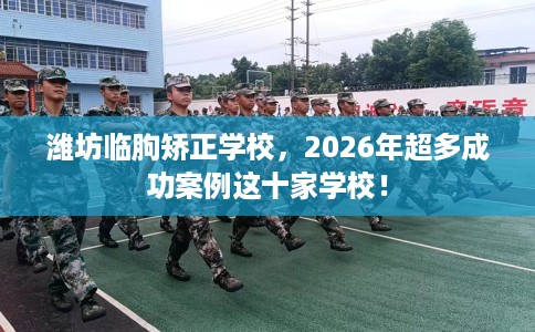 潍坊临朐矫正学校，2026年超多成功案例这十家学校！