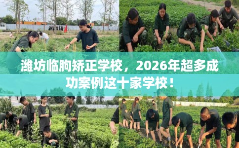 潍坊临朐矫正学校，2026年超多成功案例这十家学校！