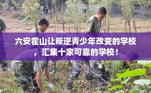 六安霍山让叛逆青少年改变的学校，汇集十家可靠的学校！