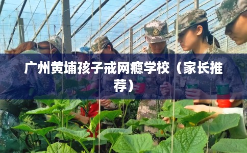 广州黄埔孩子戒网瘾学校（家长推荐）