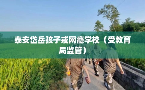 泰安岱岳孩子戒网瘾学校（受教育局监管）