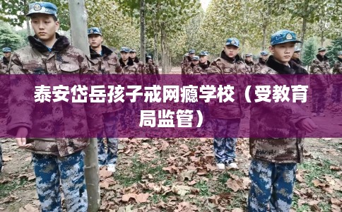 泰安岱岳孩子戒网瘾学校（受教育局监管）