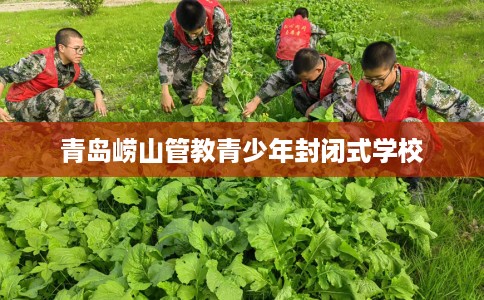 青岛崂山管教青少年封闭式学校