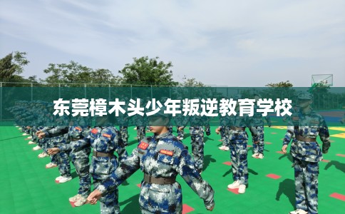 东莞樟木头少年叛逆教育学校