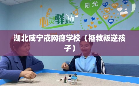 湖北咸宁戒网瘾学校（拯救叛逆孩子）