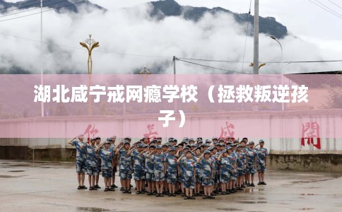 湖北咸宁戒网瘾学校（拯救叛逆孩子）