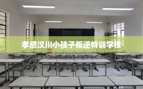 孝感汉川小孩子叛逆特训学校
