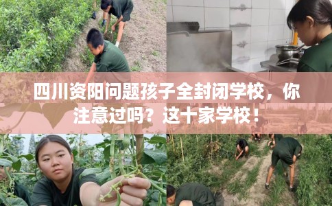 四川资阳问题孩子全封闭学校，你注意过吗？这十家学校！